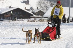 Lenk 2012 SM